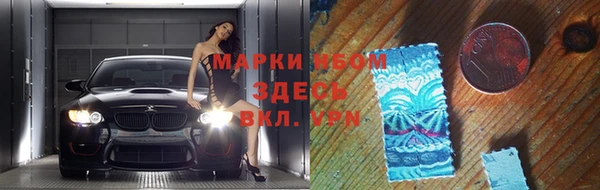 PSILOCYBIN Алзамай