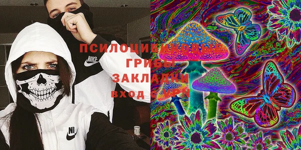 PSILOCYBIN Алзамай