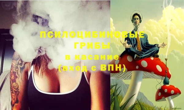 PSILOCYBIN Алзамай