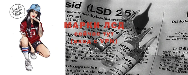 PSILOCYBIN Алзамай