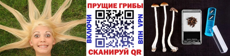 KRAKEN маркетплейс  Саров  Псилоцибиновые грибы прущие грибы 
