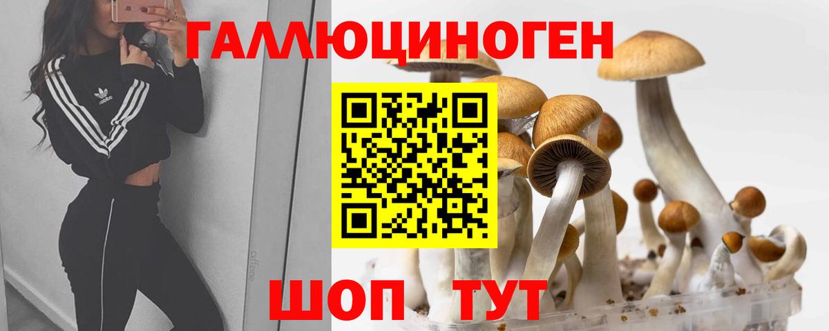 Галлюциногенные грибы ЛСД  Вход с VPN  Саров  цена наркотик  Галлюциногенные грибы мицелий 