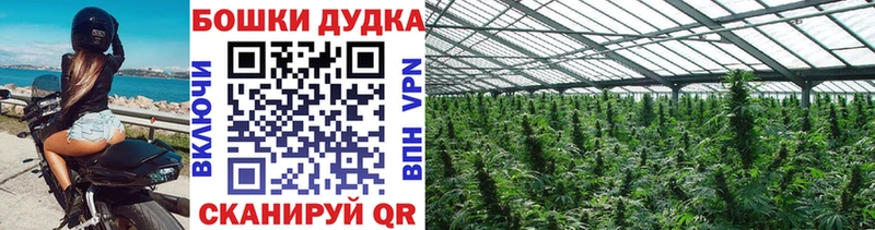 Бошки марихуана MAZAR  купить наркотик  Саров 
